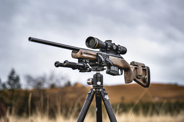 grayboe-stocks-for-tikka-tx3