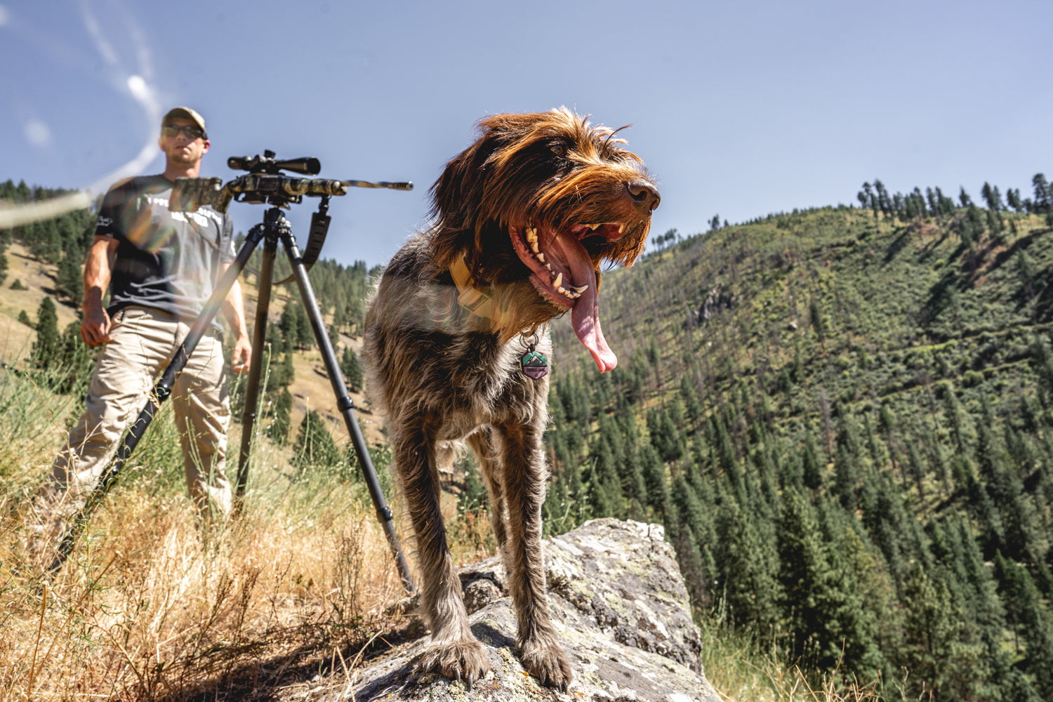 mac-brothers-evo-II-actions