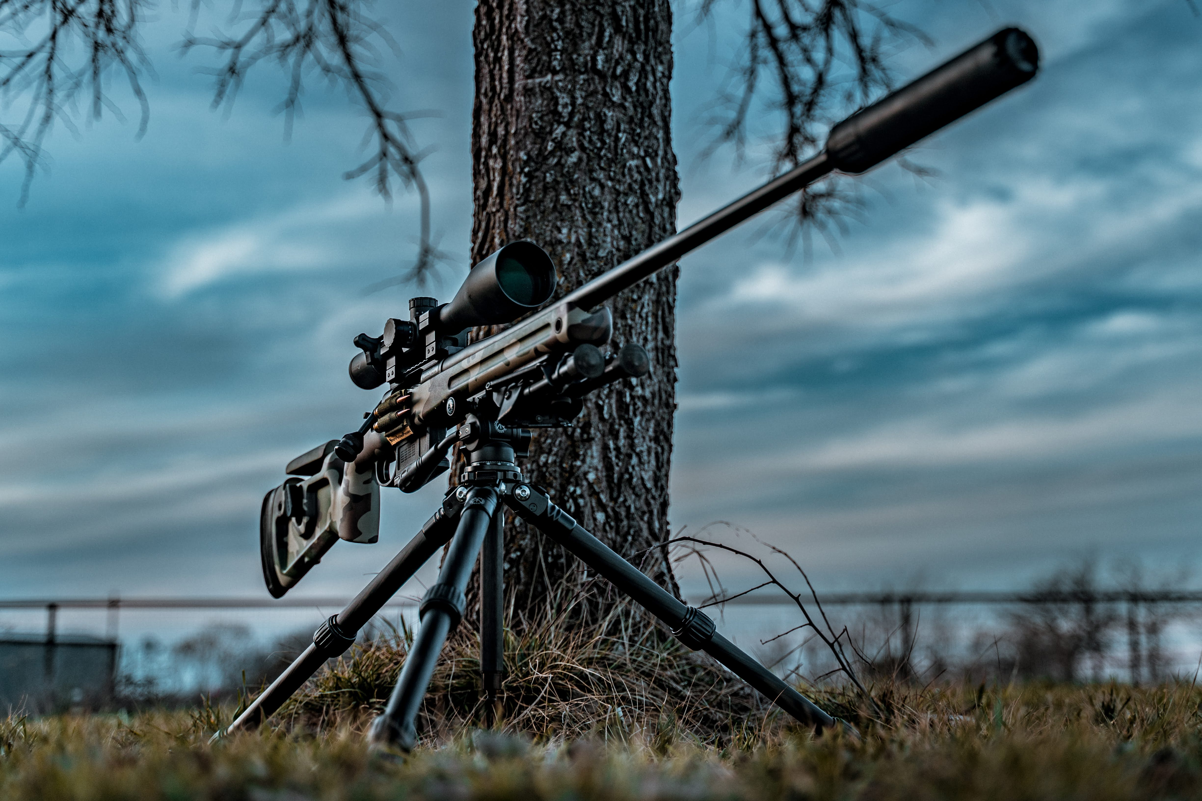 Grayboe Phoenix 2 for Savage 110
